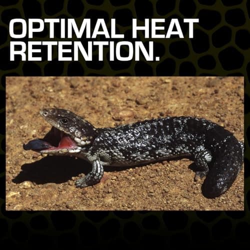 Thumbnail 5 de Exoterra Arena del Desierto 4,5 kg 🐾