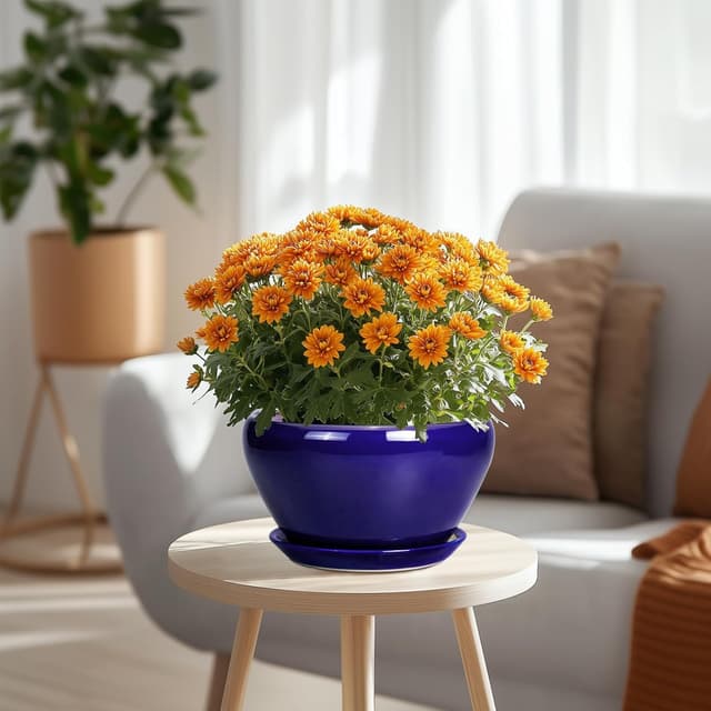 Thumbnail 1 de Ceramicfor Planter 9 Inch for Indoor Plants 🌱