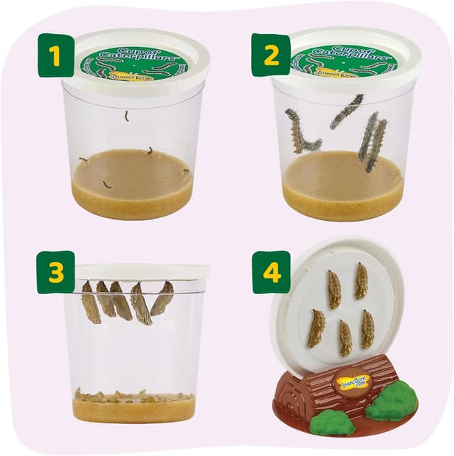 Thumbnail 6 de Insect Lore The Butterfly Garden kit for live butterflies (growing 5 caterpillars)