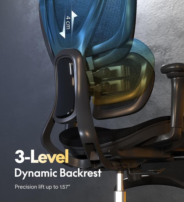 Thumbnail 6 de FLEXISPOT C5 Silla ergonómica con respaldo lumbar