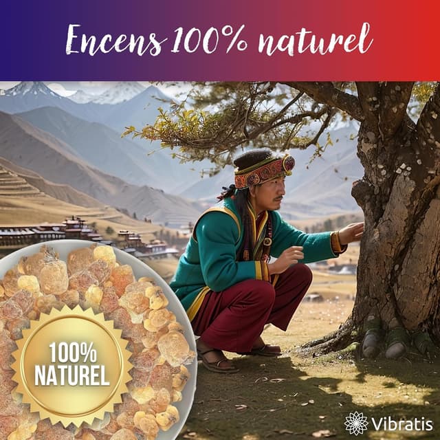Detalle 2 de Encens tibétain 250 g pour la purification ⚰