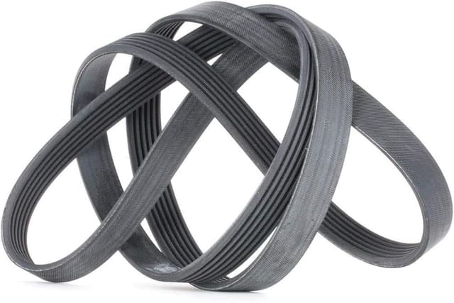 Detalle de Courroie Poly-V CONTITECH 6PK1780 pour climatisation et accessoires (compatibilités BMW/Ford/Hyundai/Renault)