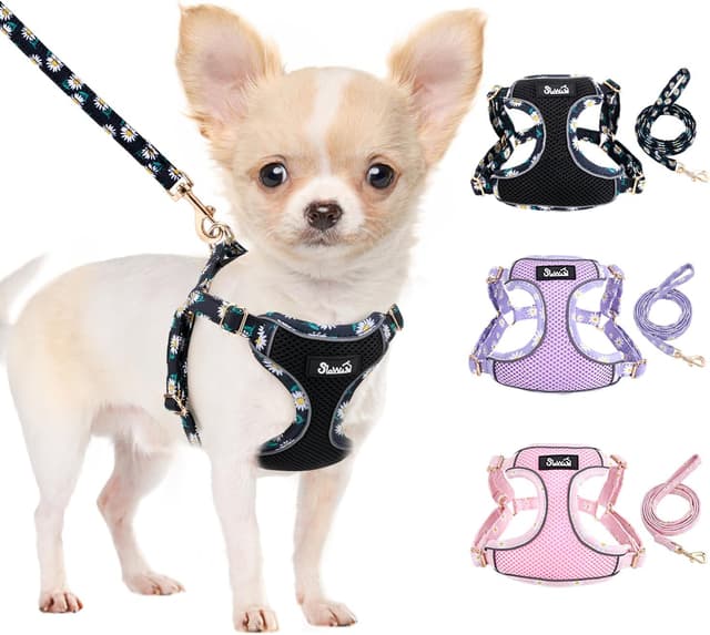 Detalle de Eyein Small Dog Harness and Lead Set (Soft Mesh, Black, Size M)
