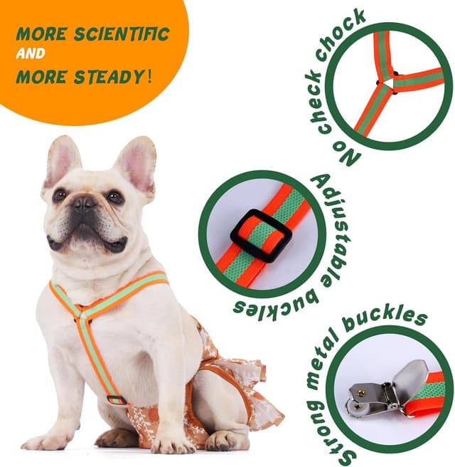 Detalle 2 de Hisprout Hundewindel Hosenträger 2-teilig für M