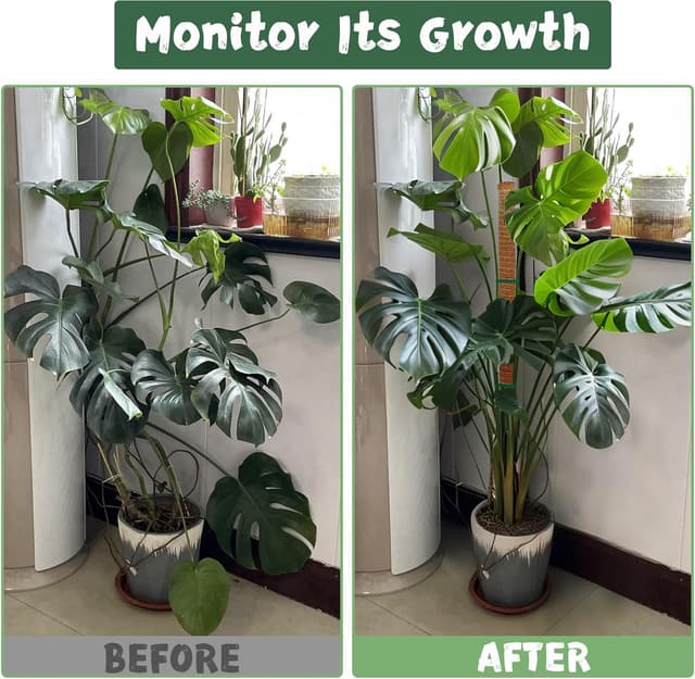 Thumbnail 3 de SZMDLX Moss Pole 160 cm Bendable Coir Plant Support