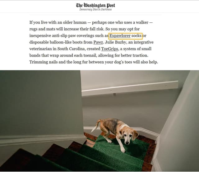 Detalle 2 de EXPAWLORER Dog Socks with Grips (Double-Sided Anti-Slip) in Khaki – XS