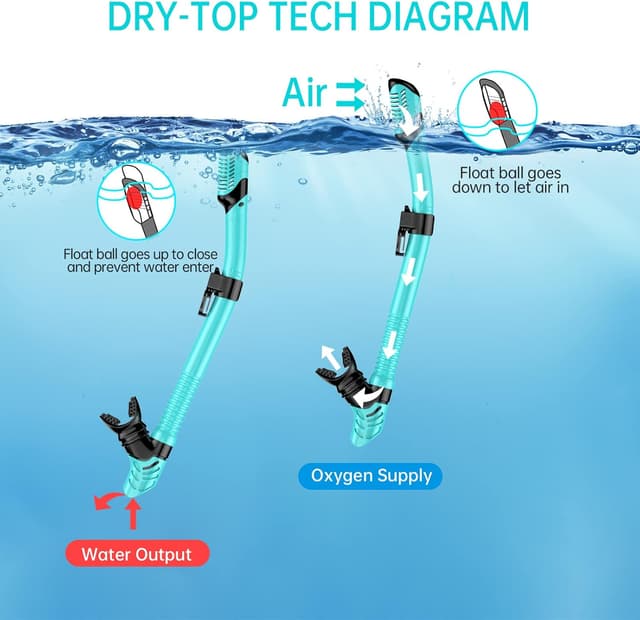 Detalle de JEMULICE Schnorchelset für Erwachsene mit Tauchbrille und Dry-Schnorchel (Anti-Leck, Anti-Fog, gehärtetes Glas)