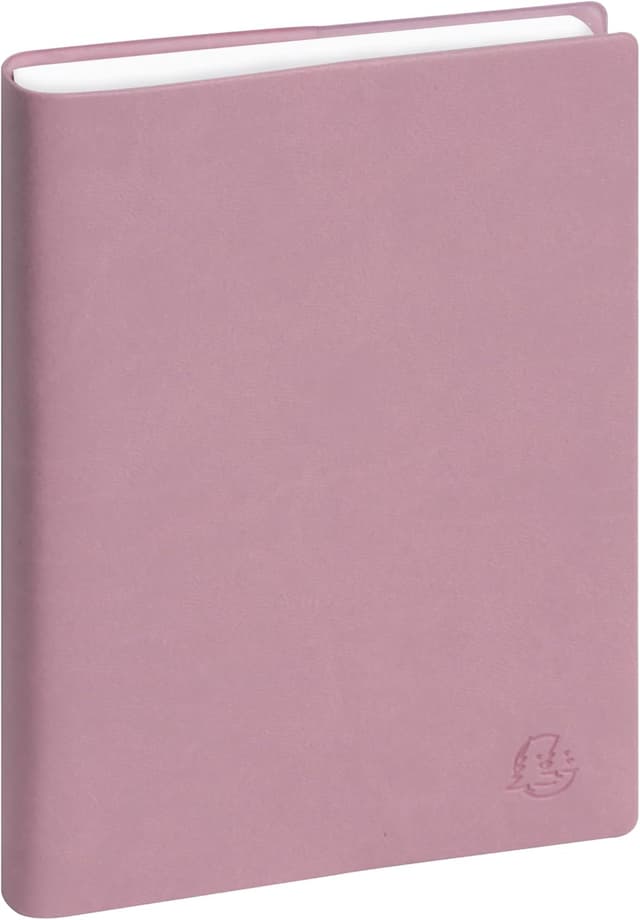 Detalle 2 de Exacompta Agenda journalier 17 Winner 170x120