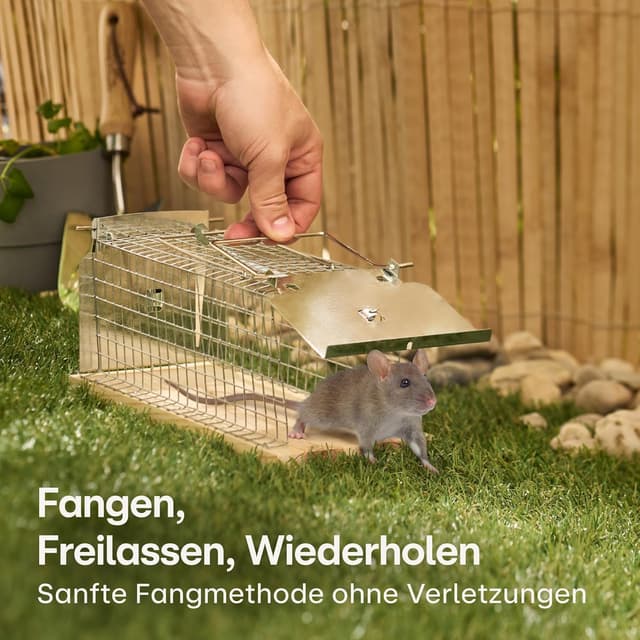 Detalle 2 de Praknu Lebendfalle für Ratten und Mäuse, 30 cm aus FSC®-Holz – wiederverwendbar & tierfreundlich