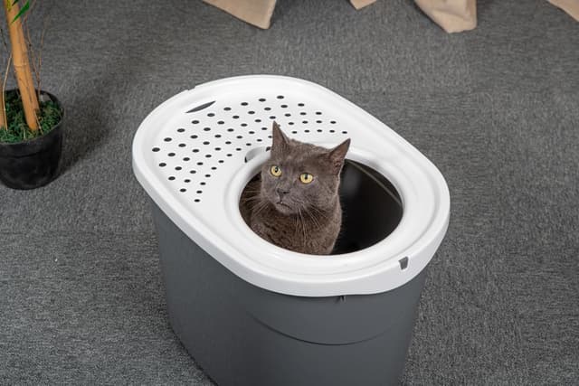 Thumbnail 2 de Iris Ohyama Maison de Toilette pour Chat TECL-20