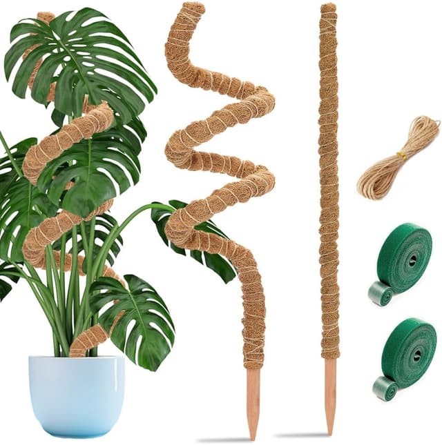 Detalle de Aileem Moss Poles 122 cm plant support for climbers