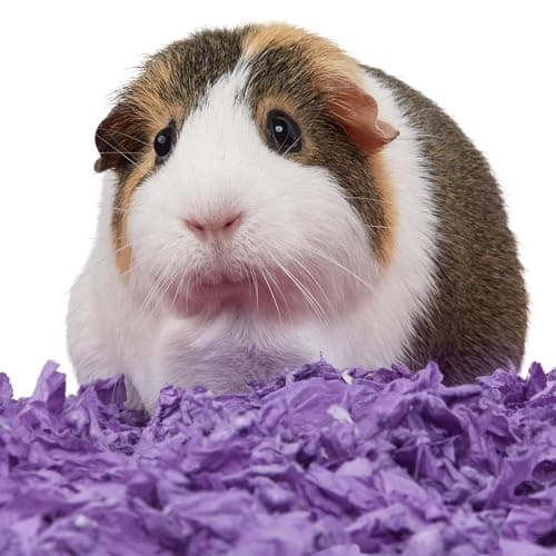 Thumbnail 3 de Kaytee Superpet Clean & Cozy cama para hámster 24,6 L 🐹