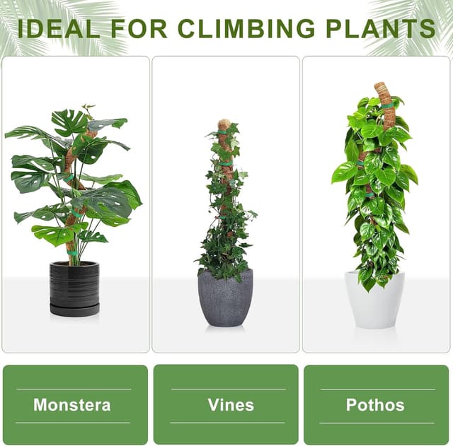 Thumbnail 5 de Joaercs Moss Pole 60 cm plant support for climbers