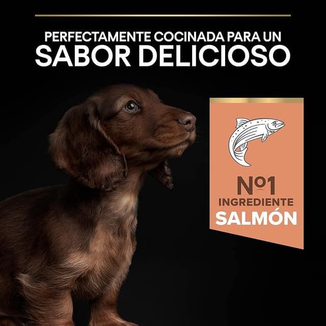 Detalle de Purina Pro Plan Small Puppy pienso 12 kg piel