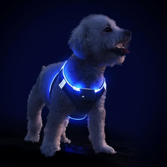 Thumbnail 6 de PcEoTllar Light Up Dog Harness with Rechargeable LED (Waterproof, Reflective) – Black-S