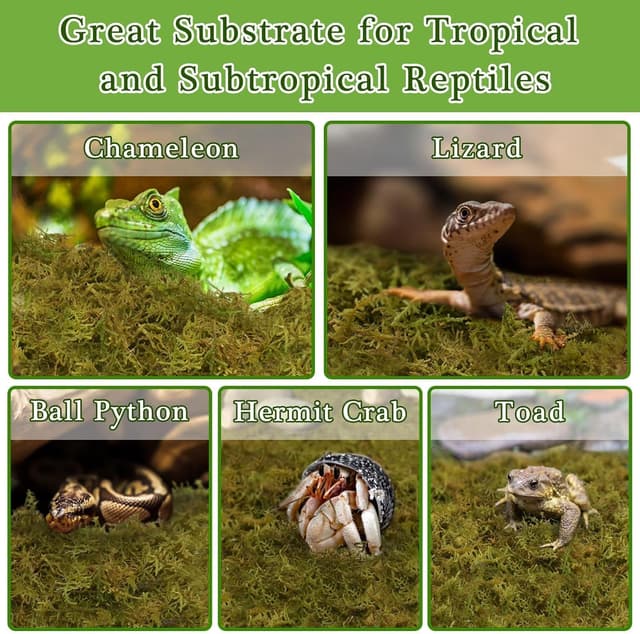 Thumbnail 6 de Halatool Sphagnum Moos 260 g für Terrarien