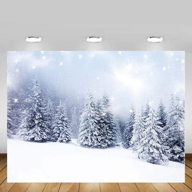 Detalle 2 de MEHOFOTO Winter Wonderland Background 2.1m