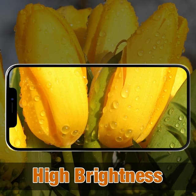 Detalle 2 de GOLDWANGWANG pantalla iPhone 12 Mini 5,4