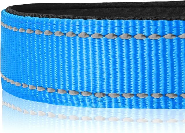 Detalle de Joytale Reflective Dog Collar with Soft Neoprene Padding (Medium, Sky Blue)