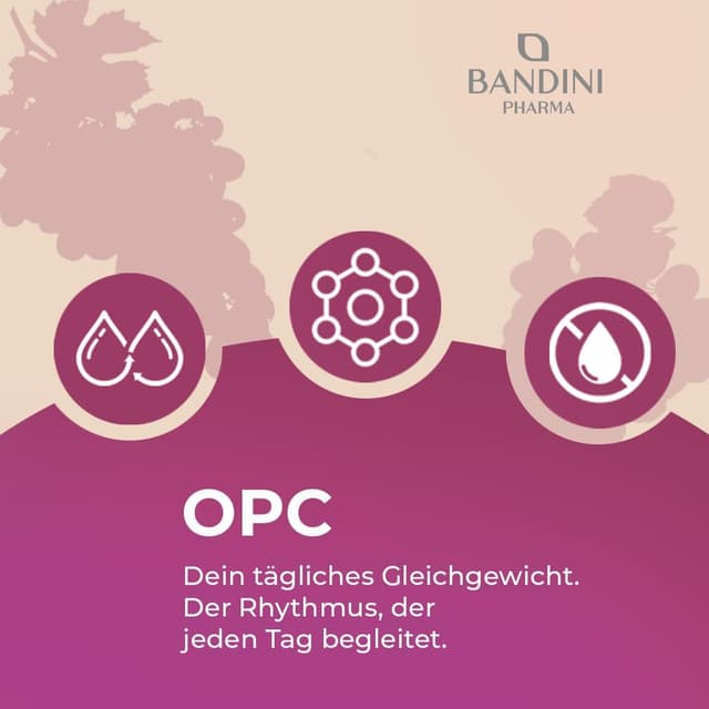 Thumbnail 5 de Bandini OPC Traubenkernextrakt 365 Kapseln mit 1076 mg Dosierung đź’Š