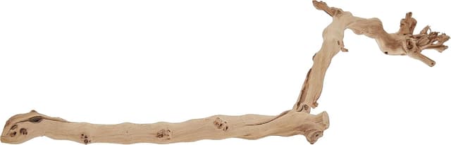 Thumbnail 3 de Exo Terra Forest Branch Small — terrarium décor 🐢