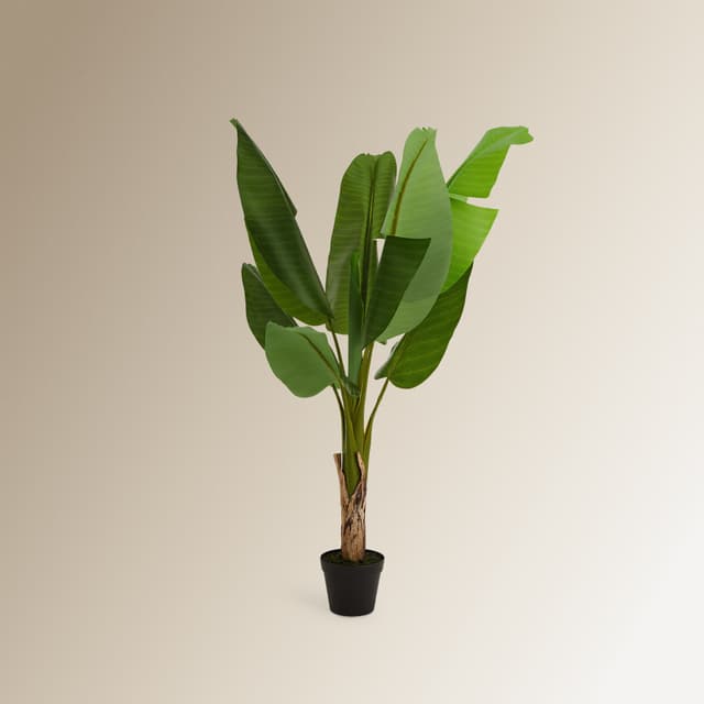 Imagen de El Corte Inglés Árbol banano 130 cm en OfertitasTOP