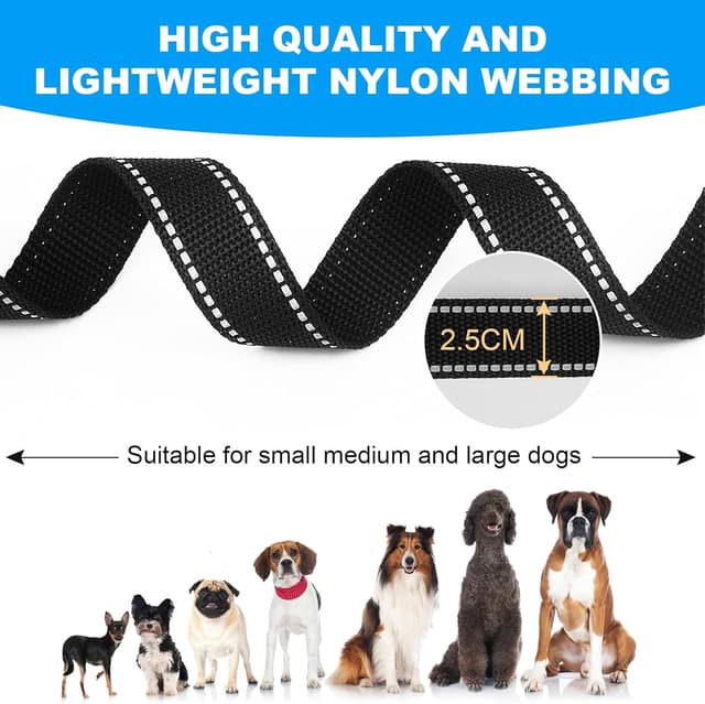 Thumbnail 3 de Longe pour Chien Dressage 3M–30M