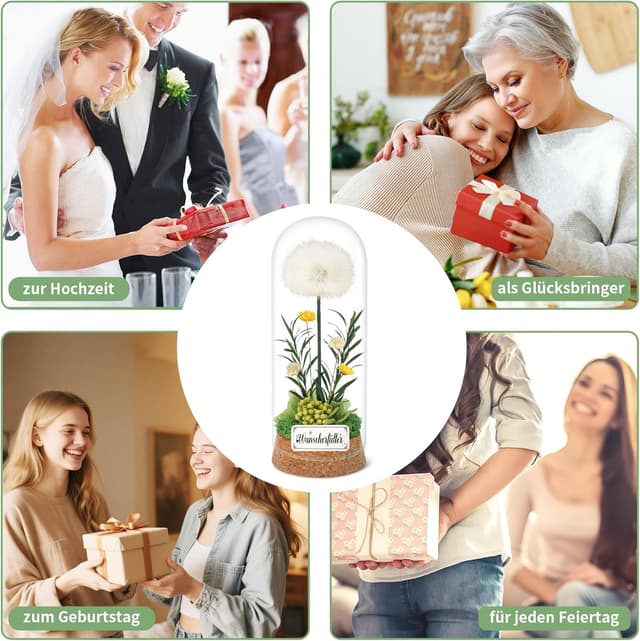 Detalle de Wunscherfüller Pusteblume im Glas (16 x 6 cm) – Geldgeschenk als Glücksbringer für Frauen