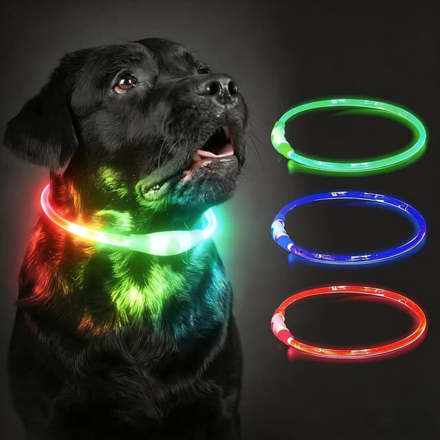 Imagen de Leuchthalsband Hund Mehrfarbig 70cm en OfertitasTOP