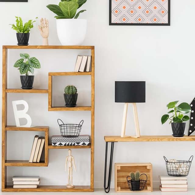 Thumbnail 6 de Romon set di 6 vasi in plastica da interno/esterno da 10 cm con fori di drenaggio e sottovaso rimovibile, nero