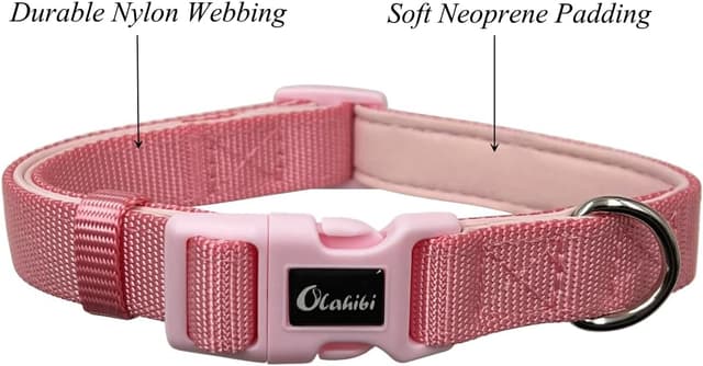 Detalle 2 de Olahibi Dog Collar Leash Set (Small, Light Pink) – Durable nylon webbing with soft neoprene padding