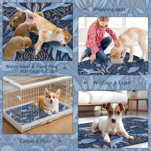 Thumbnail 3 de BVAGSS XH081 60x60cm tappetini assorbenti per cani