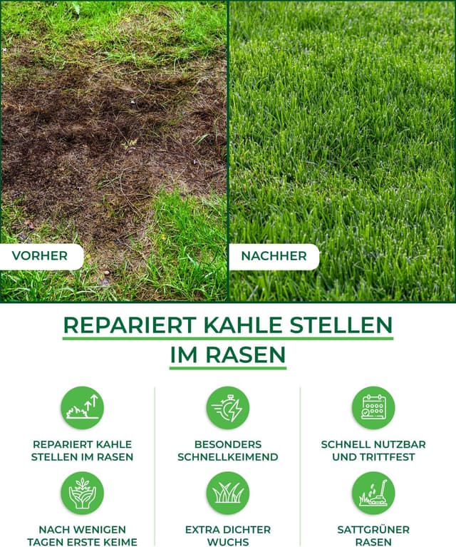 Thumbnail 3 de Sport und Spielrasen 0,5 kg Rasensamen 🌱