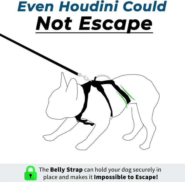 Detalle 2 de Wuffley Escape Proof Dog Harness and Leash Set