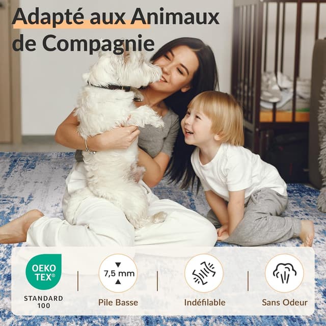 Thumbnail 5 de INOVADAY Tapis 240x300 Abstrait Lavable