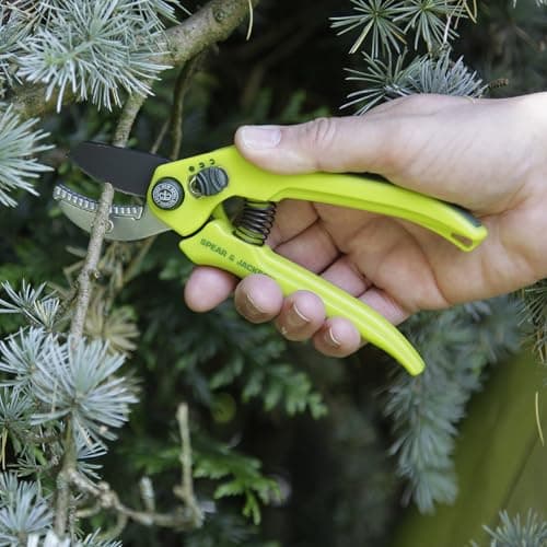 Thumbnail 5 de Spear & Jackson CUTTINGSET3K Juego de podadoras ajustables