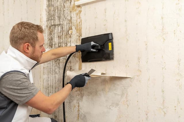 Detalle 2 de Wagner SteamForce Speed Pro décolleuse à papier peint à vapeur