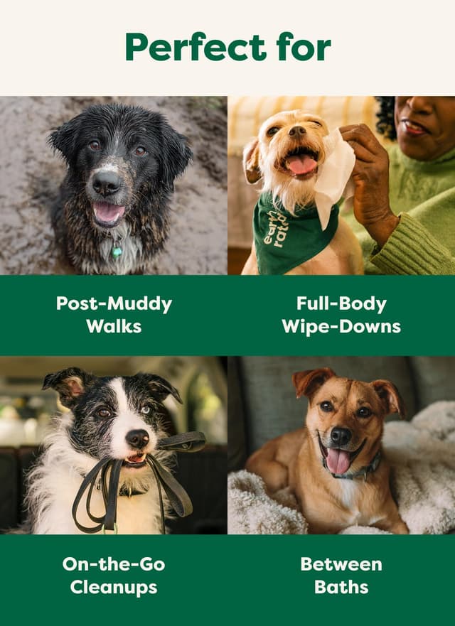 Thumbnail 6 de Earth Rated Feuchttücher 400 Stück