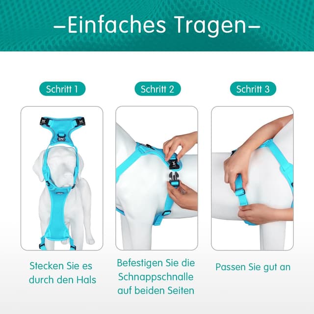 Detalle 2 de PoyPet reflektierendes Mesh-Hundegeschirr mit doppelter Polsterung (blau, Größe L)