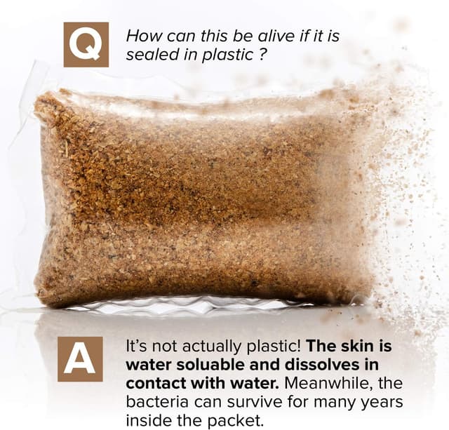 Thumbnail 3 de Septic Tank Treatment 12-Pack ⚙