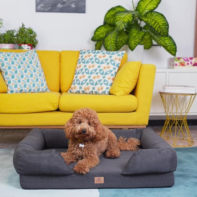 Detalle de Ferplast Orthopädisches Hundebett MEMOR-ONE mit Memory Foam, Grau – 64 x 52 x 16,5 cm