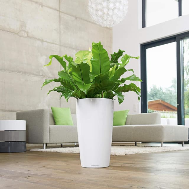 Thumbnail 2 de LECHUZA RONDO Premium 32 weiß hochglanz