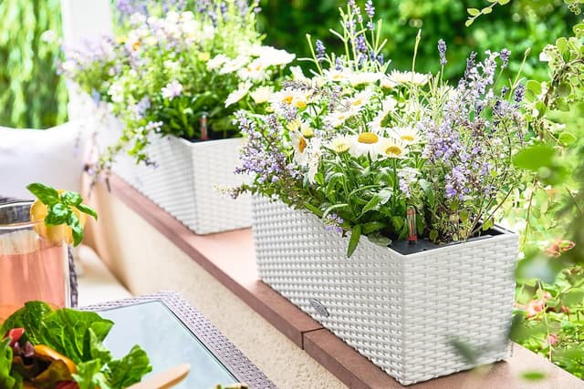 Thumbnail 5 de LECHUZA Balconera Cottage 50 bianco 15600 fioriera