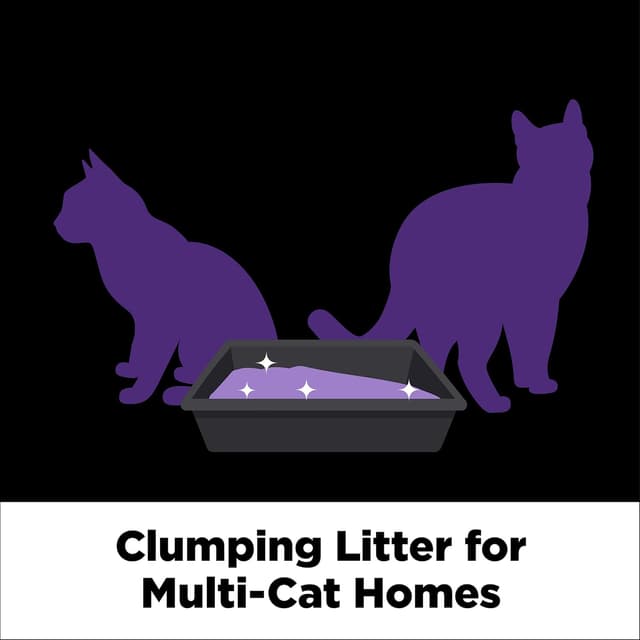 Thumbnail 4 de Arm & Hammer Platinum Slide Clumping Cat Litter 18 lb 🐱