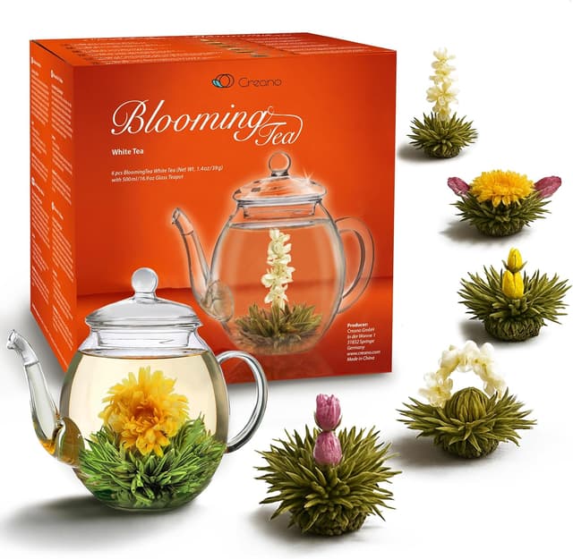 Imagen de Creano Floraison coffret théière 0,5 l en OfertitasTOP