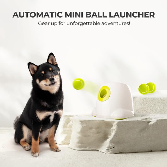 Thumbnail 6 de All for Paws Automatic Ball Launcher for Dogs with 3 x 2 inch tennis balls