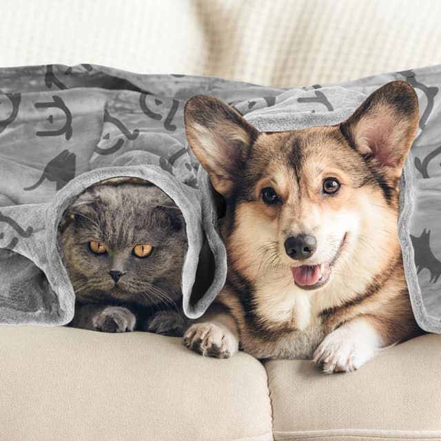 Thumbnail 6 de Nobleza Couverture imperméable pour chien Nobleza XXL 203 x 152 cm, grise claire