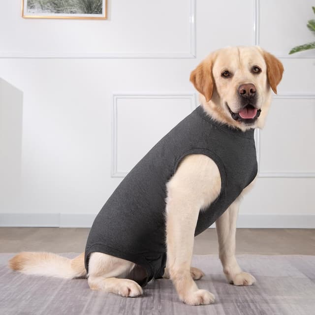 Thumbnail 6 de Axcimond Dog Surgery Recovery Suit (Medical Pet Shirt) – post-op alternative to a cone, for female & male dogs