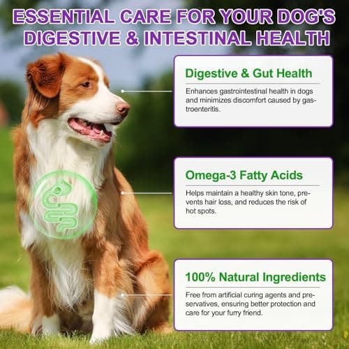 Detalle 2 de MASAIGGE Aperitivos masticables para perros contra la picazón y para la inmunidad (150 unidades)