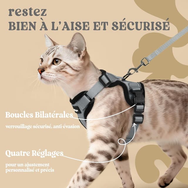 Thumbnail 5 de rabbitgoo Harnais Chat XS rĂ©glable 34,3 cm đŸ